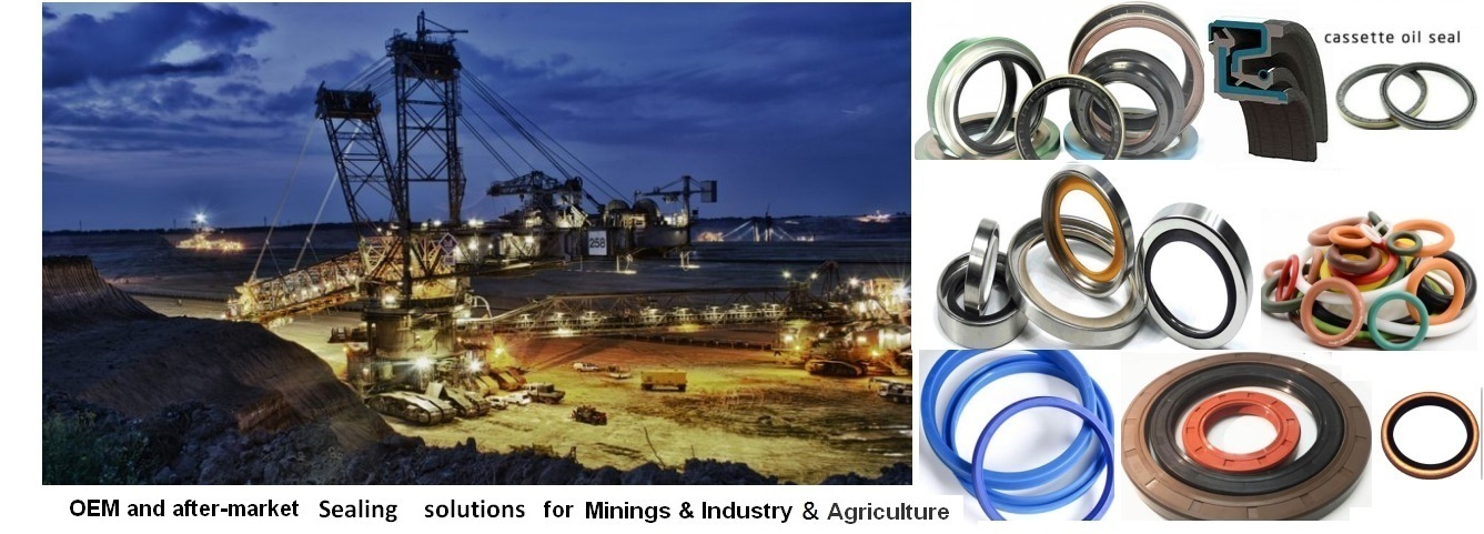 Minings & Industry & Agriculture    sealing solutions manufacturer for Oil Seals、Hydraulic Seals、O-rings and Gaskets