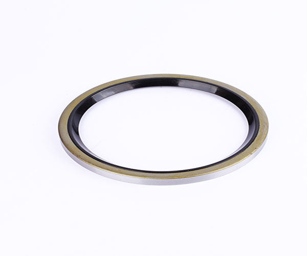 oil seal  silicone