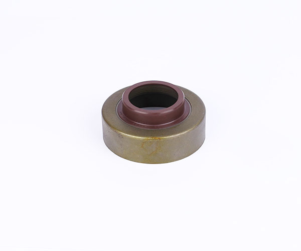 oil seal  ACM