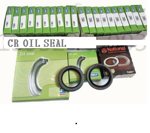 CR oil seal 