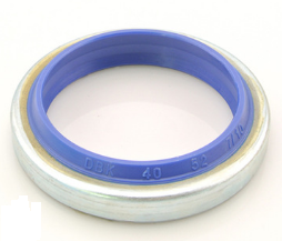 oil seal  DKB