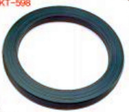 CAT Oil Seal OEM 738791