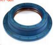 CAT Oil Seal OEM